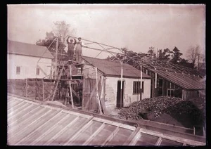 EARLY 1900s GLASS NEGATIVE, COVERING LARGE GREENHOUSES, UNKNOWN LOCATION-7 - Picture 1 of 2