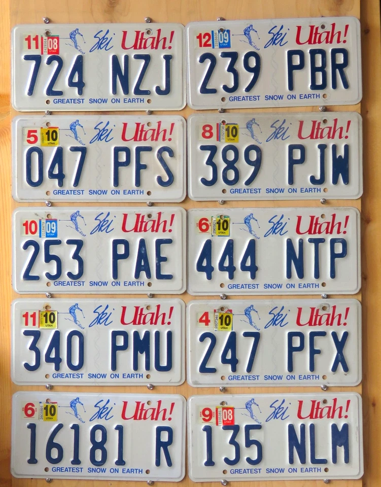 GRUPO DE 10 MATRÍCULAS UTAH SKI (estilo antiguo) Foto 1 de 1