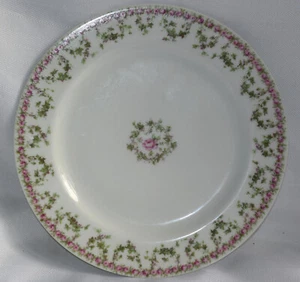 Antique Haviland Limoges France Floral & Ivy Plate Gilman Collamore Co.-9.25" - Picture 1 of 4