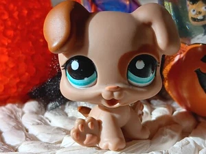 petshop authentic LPS chien Chiot Puppy Dog Rare #1482 original hasbro - Imagen 1 de 3
