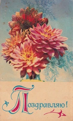 Papelaria postal G018 Rússia 1971 flores - Imagem 1 de 2