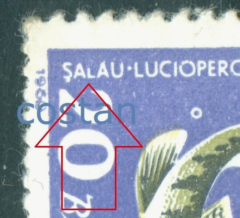 1960 pescado, lucioperca/lijadora/Lucioperca lucioperca, Rumania, mediados de 1928, VFU, ERROR/7 Foto 1 de 2