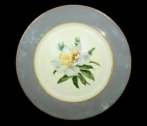 Set of 4 Princess China Tru-Tone Golden Peony Dinner Plates 10.25" Vintage - Picture 1 of 4