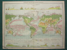 1921 LARGE MAP ~ WORLD ~ VEGETATION OCEAN FORESTS CURRENTS VERTICAL DISTRIBUTION