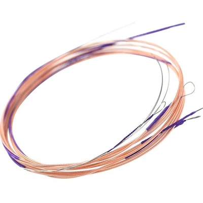  4Pcs Strings for Chinese Lute Elegant Tone Pipa Strings Reliable Pipa Practice - Image 1 of 4