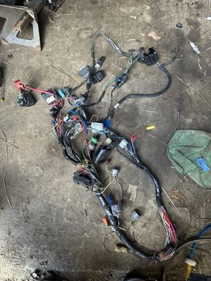 Arnés de cableado del motor principal Honda CBR929RR CBR 929RR 2001 00-01 FABRICANTE DE EQUIPOS ORIGINALES (LEER) Foto 1 de 4