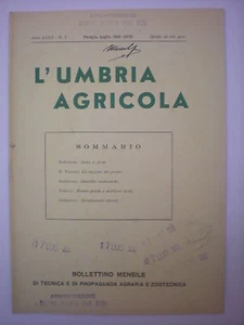 (AGRICOLTURA-ALLEVAMENTO-BESTIAME)UMBRIA AGRICOLA 1940 - Picture 1 of 1