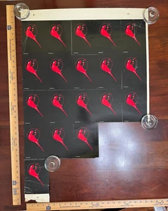 THE RED PARROT 1981 NYC DISCO DANCE NIGHT CLUB 4x6" POSTER CARD SHEET (19/SHEET) - Picture 1 of 6