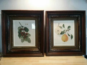 Pair Antique EASTLAKE Victorian Frame 1860s with Fruit Prints Maple Tiger - Picture 1 of 12