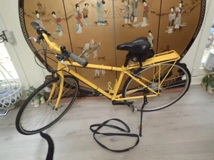 Jamis CODA YELLOW SMALL steel frame Metropolis 2-speed crank and NuVinci 380 HUB - Picture 1 of 13