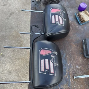 2004 Monte Carlo Intimidator SS Dale Earnhardt head rest set - Picture 1 of 8