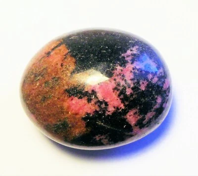 687 克拉抛光红石棕榈石 53 x 44 x 30 毫米 MADAGASCAR # 6 — 第 1/2 张图片