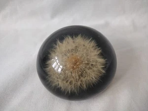 Vintage Lucite Dandelion Head Paperweight - Picture 1 of 4