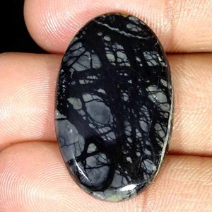 24.10Cts Natural Picasso Jasper Oval Cabochon Loose Gemstone - Picture 1 of 5
