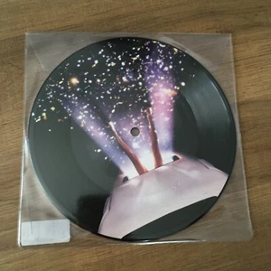 Chromeo – Come Alive - PICTURE DISC - 45 TOURS - 7" - NEUF!!!!! - Imagen 1 de 2