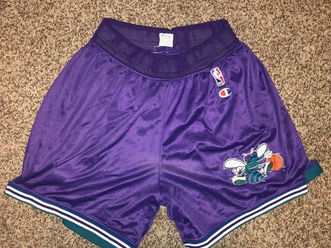 CHARLOTTE HORNETS Vtg 90s Purple CHAMPION Basketball Shorts shorts Sz L (36-38) Cover