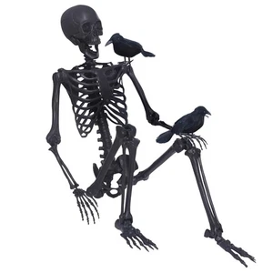 Halloween Skeleton Posable Skeleton Full Size with Movable Joints and 2PC Black - Picture 1 of 7