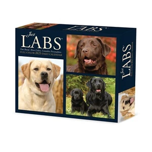 Labs 2025 Calendario scatola 6,2"" x 5,4 - Foto 1 di 6