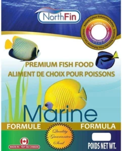 Marine - Picture 1 of 3