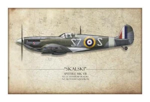 Polish Spitfire Mk V - Art Print by Craig Tinder - Picture 1 of 4
