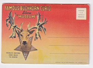 1937 Informational Card Set / Buckhorn Curio Store / Museum - Mint - Picture 1 of 5