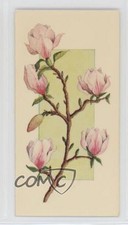 1977 Carreras Craven Black Cat Flowers All the Year Round Tobacco #13 2p7