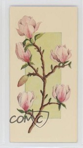 1977 Carreras Craven Black Cat Flowers All the Year Round Tobacco #13 2p7