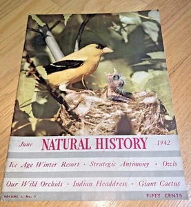 June 1942 NATURAL HISTORY Magazine GOLDFINCH / HEADDRESS / SAN JACINTO / OWL - Picture 1 of 12