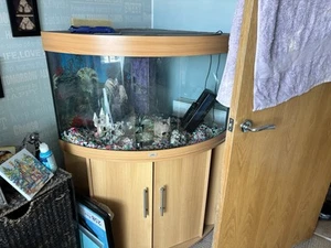 Juwel 350l Corner Fish Tank with Stand for Large Aquariums - Picture 1 of 1