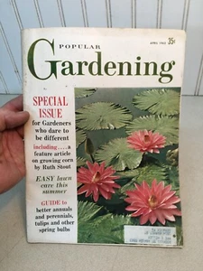 Popular Gardening 1962 - Mid-Century Modern Inside garden Designs Suburbia  - Picture 1 of 5