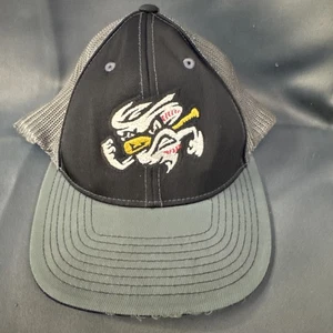 Pacific Headwear - Omaha Storm Chasers MILB - Gorra ajustada - Proflex L/XL - Negro-Gr - Imagen 1 de 6