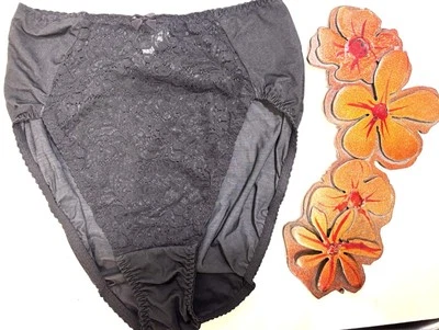 vtg Warners Lace Front Hi-Cut Panties Sheer Black Briefs Antron Nylon sz M Sheer - Image 1 of 4