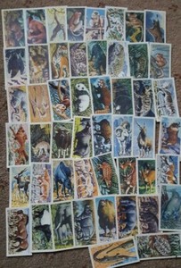 Brooke Bond Trade Cards Asian Wild Life 1962 Full set 50 cards