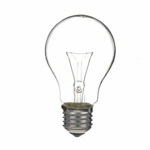 GLS Light Bulb 24V E27 25W Clear (Dimmable) - Picture 1 of 2