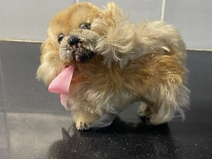 Vintage Steiff Pekenise Dog. Mohair 11 cm long - Picture 1 of 6