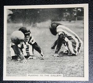 CHIMPANZEE FOOTBALLERS  Vintage 1930's Black & White Photo Card # VGC