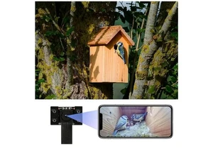 Wiwacam WiFi Bird Box Camera, 4K HD Snapshot 2K Video For Birdhouses Live Video - Picture 1 of 4