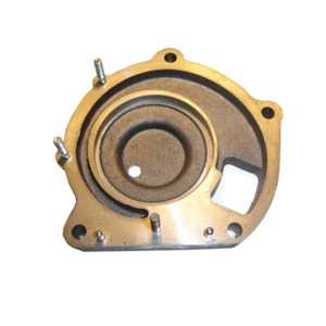 Placa Intermedia para Bomba Agua Hanomag R 22-35 324-442,Brillante 600 ,Granito - Imagen 1 de 1