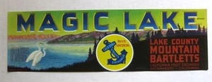 1938 Magic Lake Grape Fruit Crate Label - Picture 1 of 1