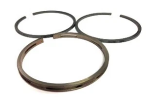 Nuevo Juego de Anillos Briggs and Stratton OEM-STD Número de Pieza 399067 - Imagen 1 de 1