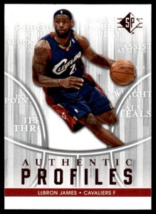 2008-09 SP Authentic Profiles LeBron James Cleveland Cavaliers #AP-24