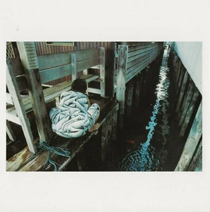 Postcard Gueorgui Pinkhassov, Photo "Georgetown, Pinang Is., Malaysia" 1990 MINT - Picture 1 of 1