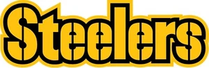 (NOT A PATCH) Pittsburgh Steelers Football HTV Heat Transfer Vinyl Iron On - Picture 1 of 1