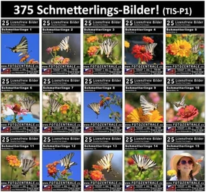375 Lizenzfreie Profi-Bilder/Fotos! Schmetterlinge (Royalty Free) UVP 220,- - Bild 1 von 16