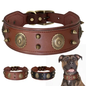 Genuine Leather Dog Collar Heavy Duty for Medium Large Dogs 5cm Wide Doberman XL - Picture 1 of 17