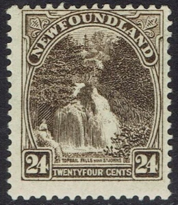 NEWFOUNDLAND 1923 PICTORIAL 24C - Picture 1 of 2