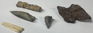 Fossil Lot Kreidezeit Dinosaurier Alter Belemnit Orthoceras versteinertes Holz & Koralle - Bild 1 von 9