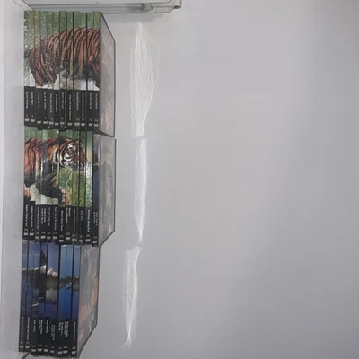 Natural Killers Predators Close Up 33 DVDS. Bundle. - Image 1 of 4