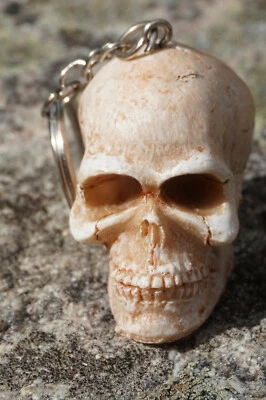 HF0027   PORTE CLE CRANE TETE DE MORT      HEROIC  FANTASY  GOTHIQUE   - Photo 1/4