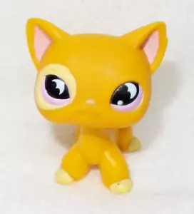 LITTLEST PET SHOP LPS #855 HASBRO CAT CHAT EUROPEEN BEIGE ORANGE YEUX MAUVE - Afbeelding 1 van 6